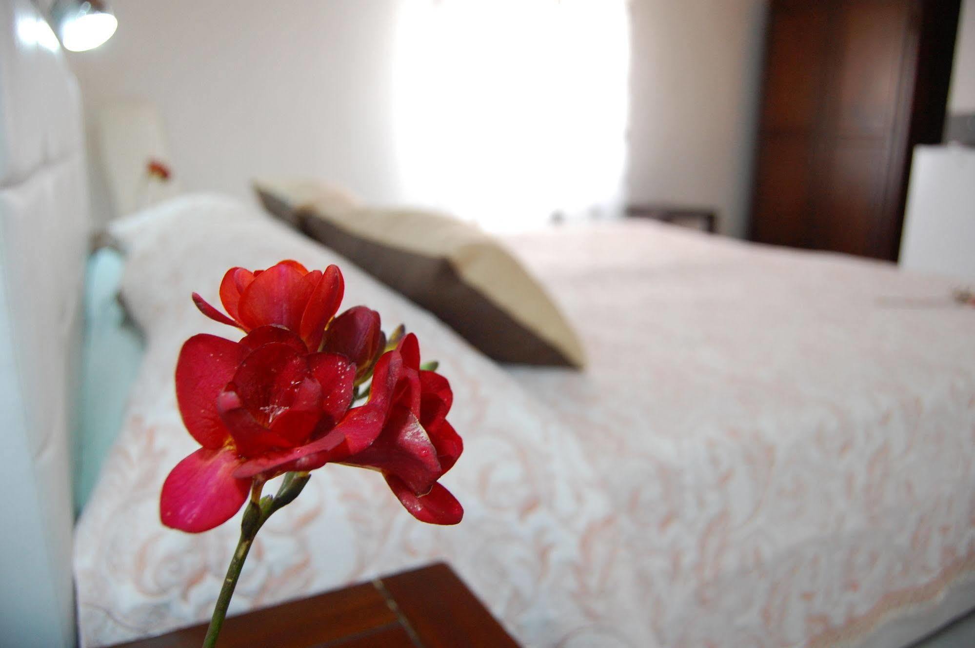 อิล มีรโต้อีลาโรซ่า Bed & Breakfast อาเรเนลลา ภายนอก รูปภาพ